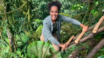 Pia und die wilde Natur: Im Nebelwald der Gorillas Pia und die wilde Natur: Im Nebelwald der Gorillas