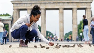 Pia und die wilden Tiere: Rettet den Spatz Pia und die wilden Tiere: Rettet den Spatz