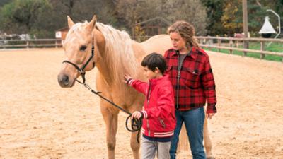 Reiterhof Wildenstein: Der Junge und das Pferd – Reiterhof Wildenstein