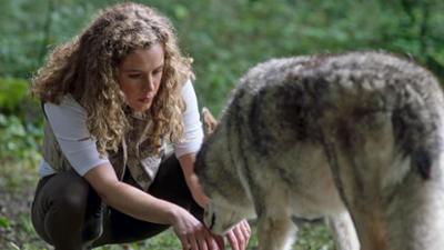 Reiterhof Wildenstein: Jacomo und der Wolf – Reiterhof Wildenstein