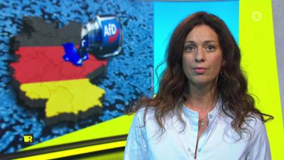 Report Mainz