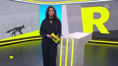 Report Mainz: REPORT vom 09.12.2025