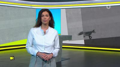 Report Mainz: REPORT vom 27.01.2026