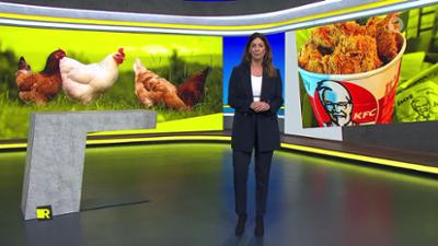 Report Mainz Report Mainz