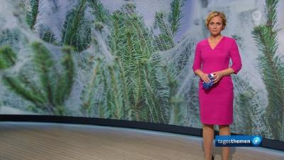 Tagesthemen