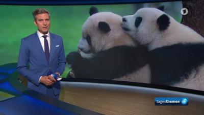Tagesthemen: 23:15 Uhr,