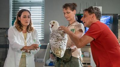 Tierärztin Dr. Mertens: Folge 92: Bittere Konsequenzen (S08/E08)