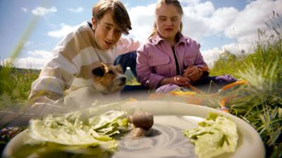 Tiere bis unters Dach: Rasende Glücksbringer