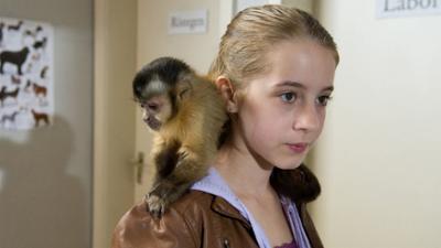 Tiere bis unters Dach: Affenschande (Folge 24)