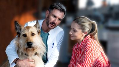 Tiere bis unters Dach: Hund ohne Namen Tiere bis unters Dach: Hund ohne Namen