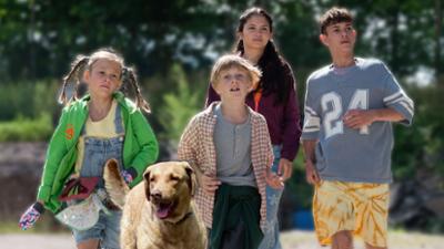 Tiere bis unters Dach: Tierretter (S11/E09)