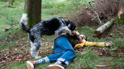 Tiere bis unters Dach: Jojo, der Held (S08/E03)