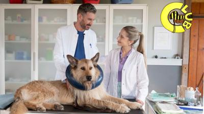 Tigerenten Club: Greta ist zurück - „Tiere bis unters Dach“ mit Enya Elstner Tigerenten Club: Greta ist zurück - „Tiere bis unters Dach“ mit Enya Elstner
