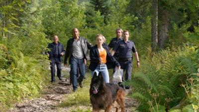 Watzmann ermittelt: Folge 56: Blinde Wut (S05/E08)