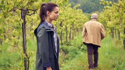 Weingut Wader: Neue Wege – Weingut Wader (4)