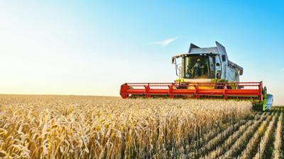 Wirtschaft vor acht: Schlechte Ernte treibt die Preise