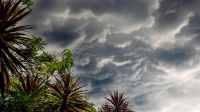 Wirtschaft vor acht: Super-El Niño: Klima trifft Weltwirtschaft