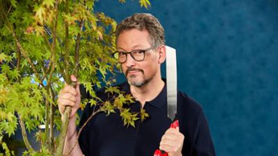 Wissen vor acht: Wie nachhaltig ist Holz? Wissen vor acht: Wie nachhaltig ist Holz?