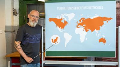 Wissen vor acht: Schlau und scharfsinnig: der Rotfuchs