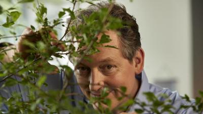 Wissen vor acht: Hecken für den Klimaschutz