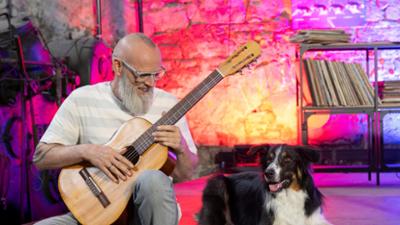 Wissen vor acht: Katzenhits und Hunderock Wissen vor acht: Katzenhits und Hunderock