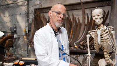 Wissen vor acht: Social Distancing bei Tieren