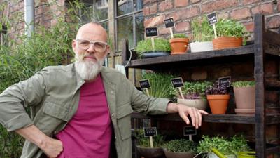 Wissen vor acht: Microgreens – Superfood von der Fensterbank