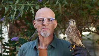 Wissen vor acht: Who is Who: Turmfalke und Mäusebussard
