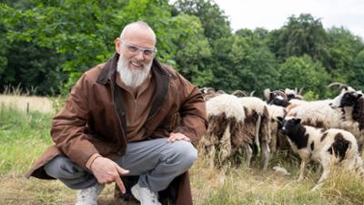 Wissen vor acht: Schafe als Naturschützer to go Wissen vor acht: Schafe als Naturschützer to go