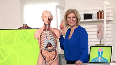 Wissen vor acht: Warum sind Berührungen wichtig?
