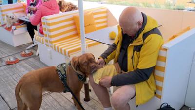 Belgien: Ein Restaurant für Hunde