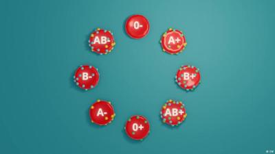 Blut – das flüssige Organ