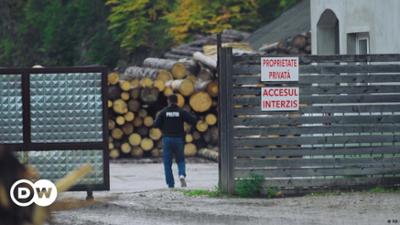 Das brutale Geschäft der Holzmafia