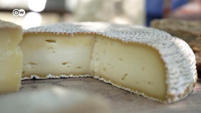 Der geheimnisvolle Grünkäse aus Bulgarien