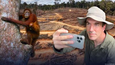 Der Überlebenskampf der Orang-Utans