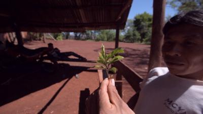 DW Nachrichten: Covid-19 betrifft auch die Mbyá