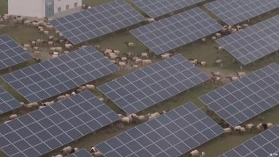 Führt der Globale Süden den grünen Wandel an?