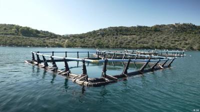 Geister-Fischfarmen bedrohen Meere vor Griechenlands Küsten