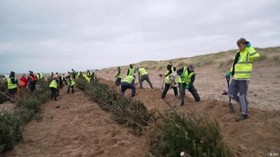 Großbritannien: Christbäume für den Strand