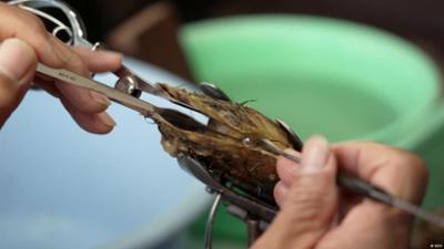 Japan: Letzte Ruhe in einer Perle