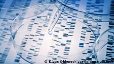 Kann die Umwelt unsere Gene beeinflussen?