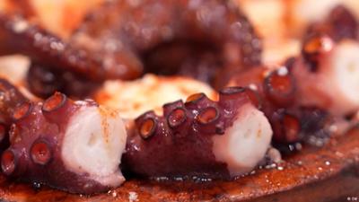 Kann man Oktopus mit gutem Gewissen essen?