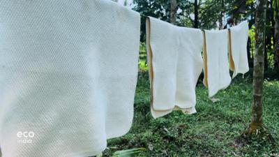 Kerala und die ungewisse Zukunft des Kautschuks