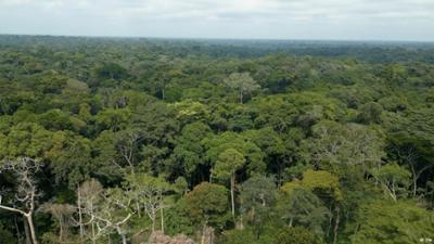 Kongo: Globales Greenwashing mit CO2-Zertifikaten