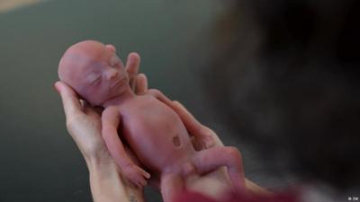 Künstliche Gebärmutter: Wer kontrolliert die Fortpflanzung?