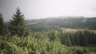 Macht der Klimawandel die rumänischen Karpaten grüner?