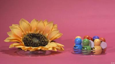 Mit viel Wissenschaft und etwas Glück zum Wunschkind