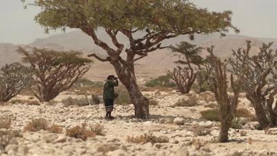 Oman: Die Heimat des Weihrauchs