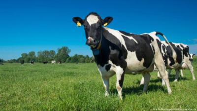 Start der Grünen Woche