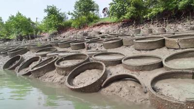 Sundarbans: Eine alte Technik gegen schwindenden Boden